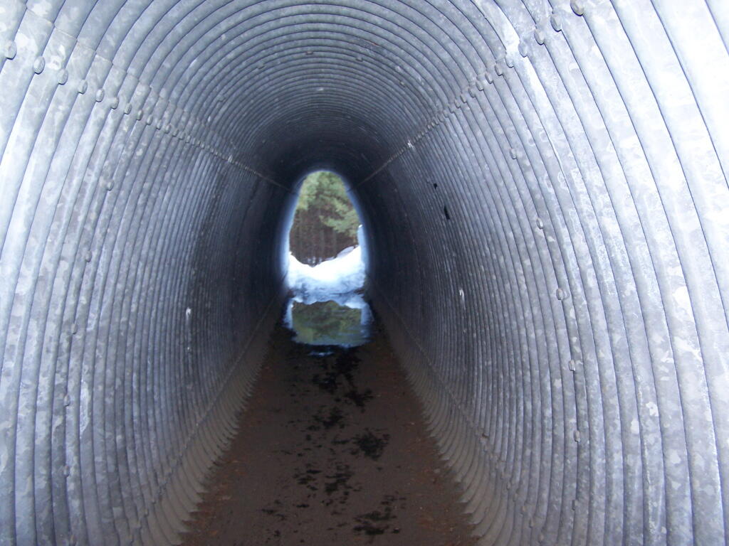 Photo: Hiking Under the Northway