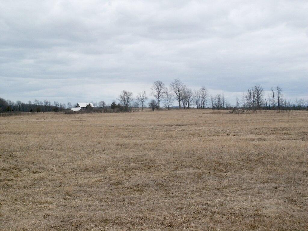 Photo: Farm Field