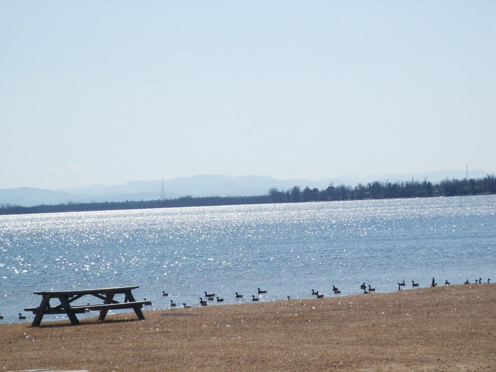 Photo: Swimming Beach
