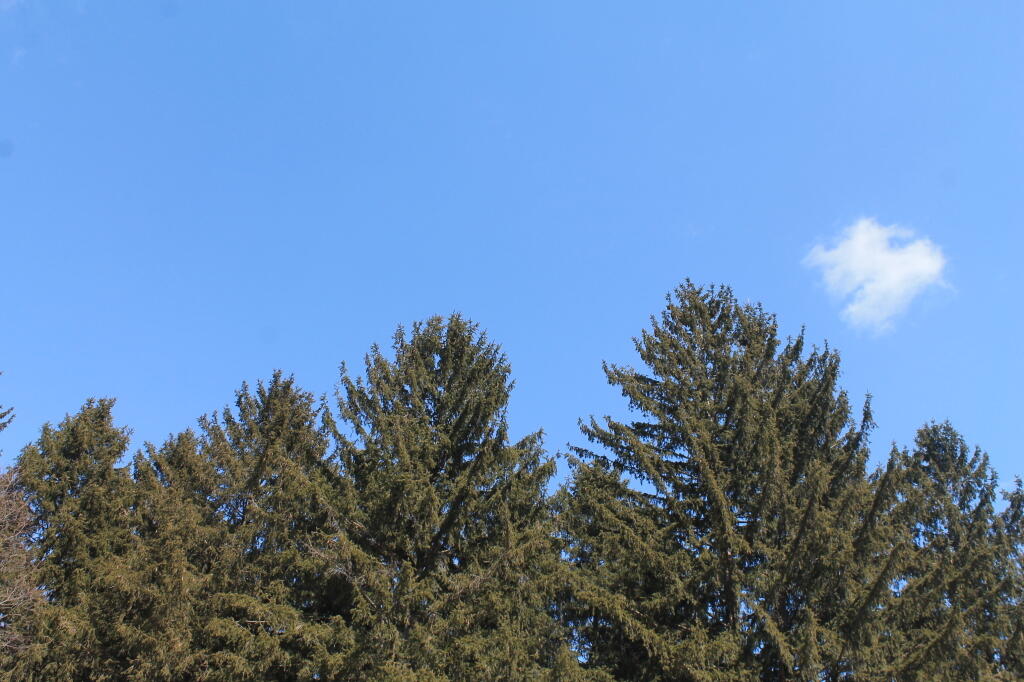 Photo: Photo.2013.04.05 15.24.02