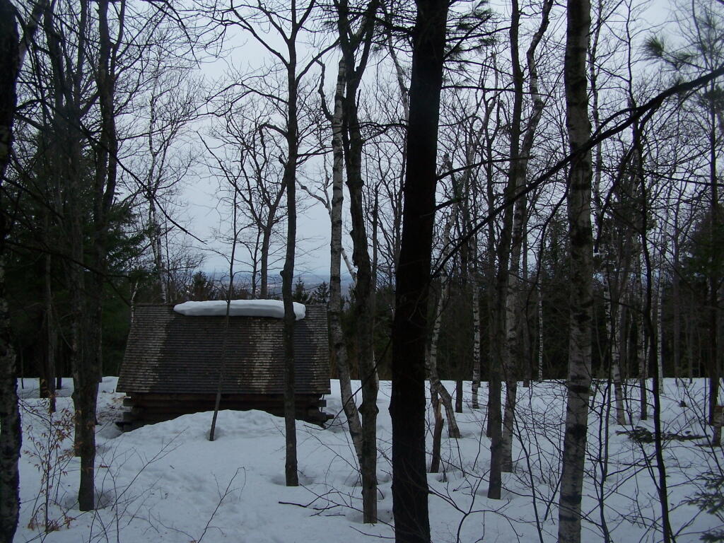 Photo: Lean To on Cloudy Morning