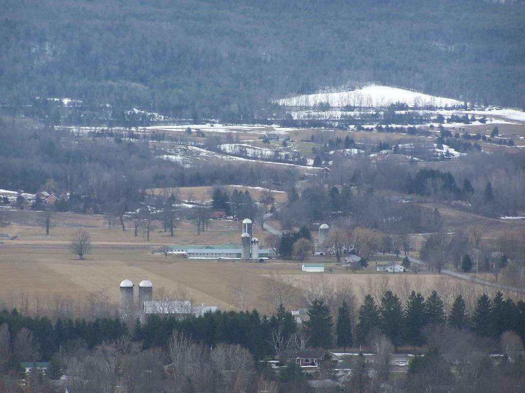 Photo: Dairies Along Clauverwie Road