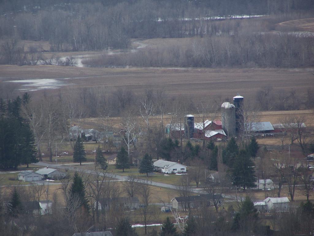 Photo: Southern Middleburgh Village