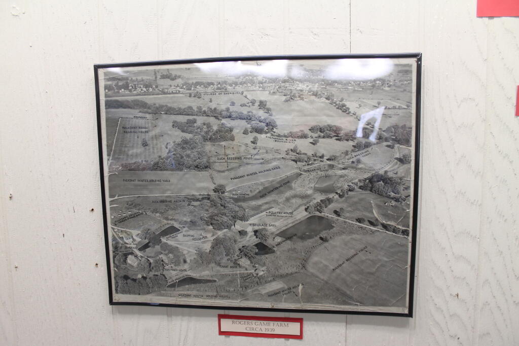 Photo: Historical Picture of Rogers Game Farm