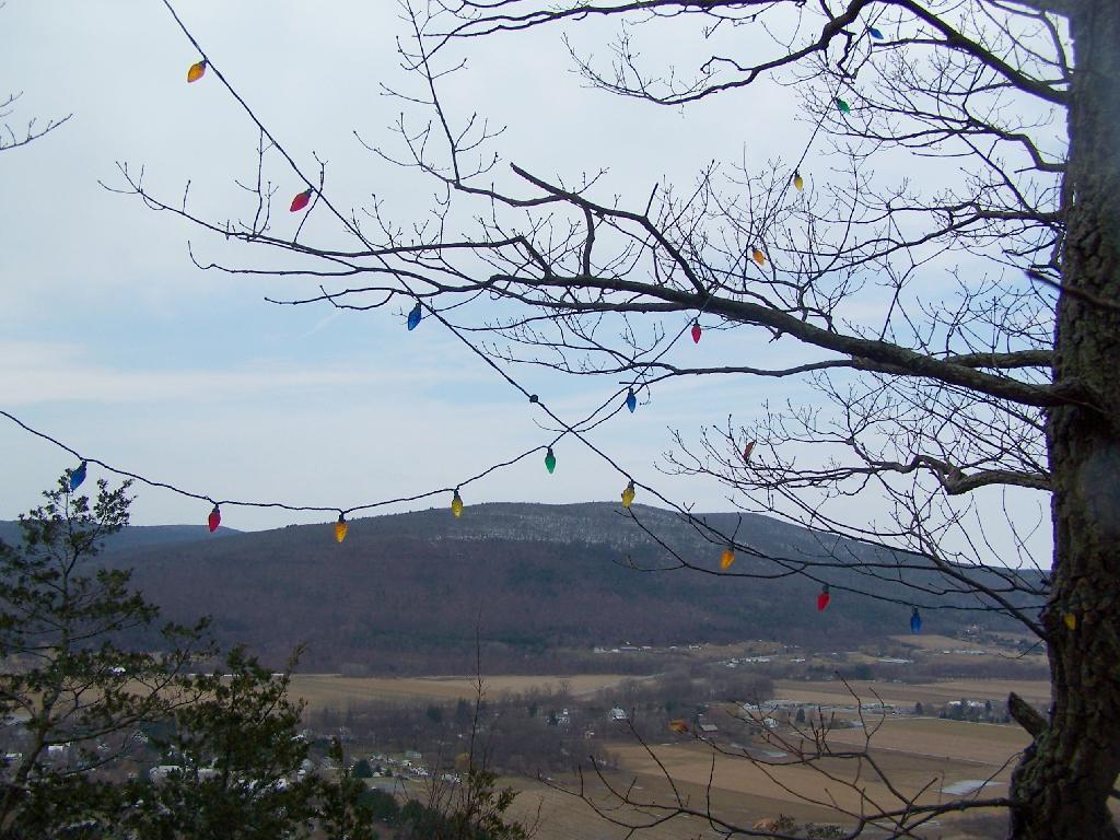 Photo: Christmas Lights