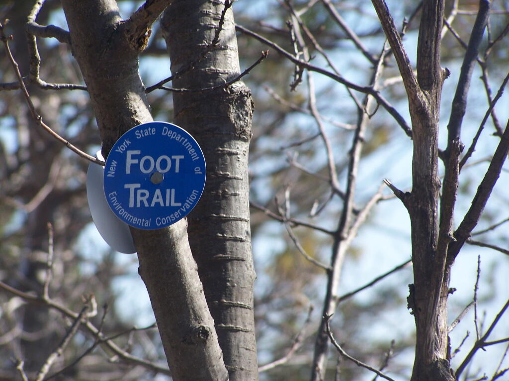 Photo: Along the Blue Trail