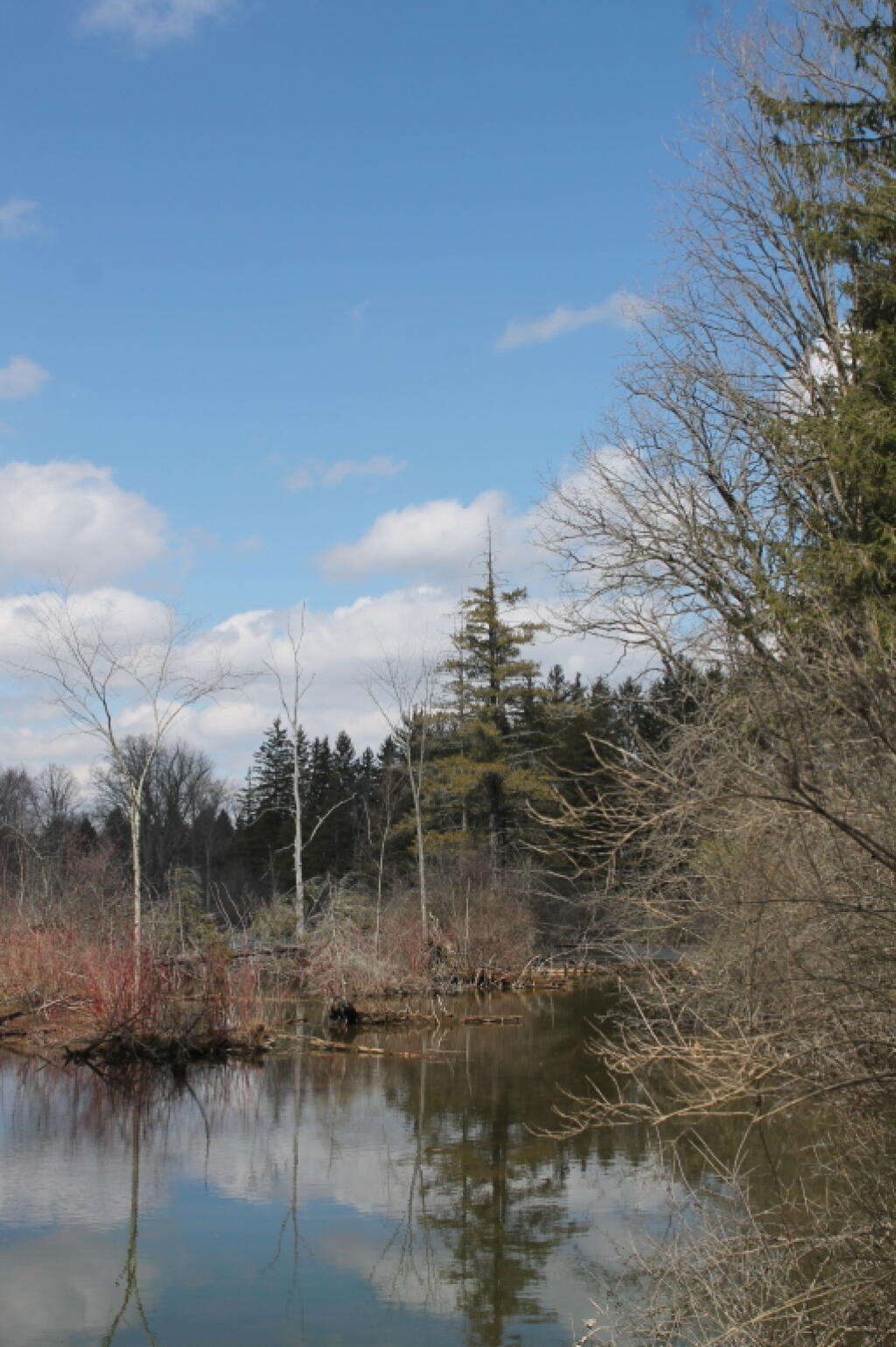 Photo: Pond