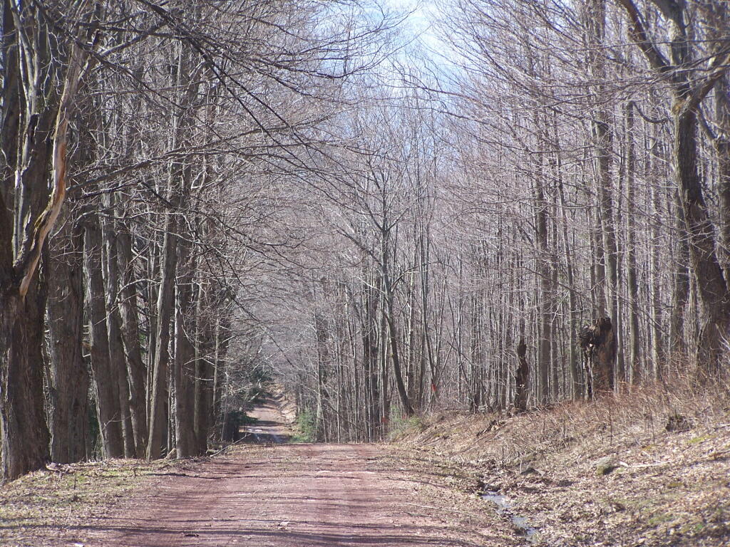 Photo: Huntersfield Road