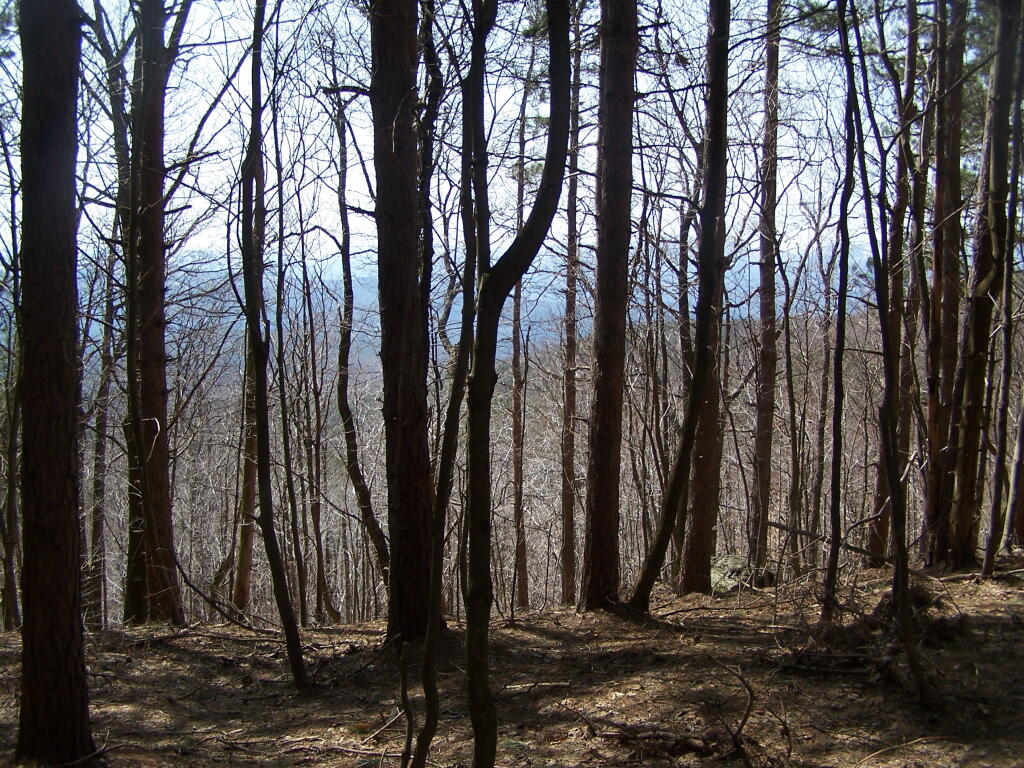 Photo: Patterson Ridge