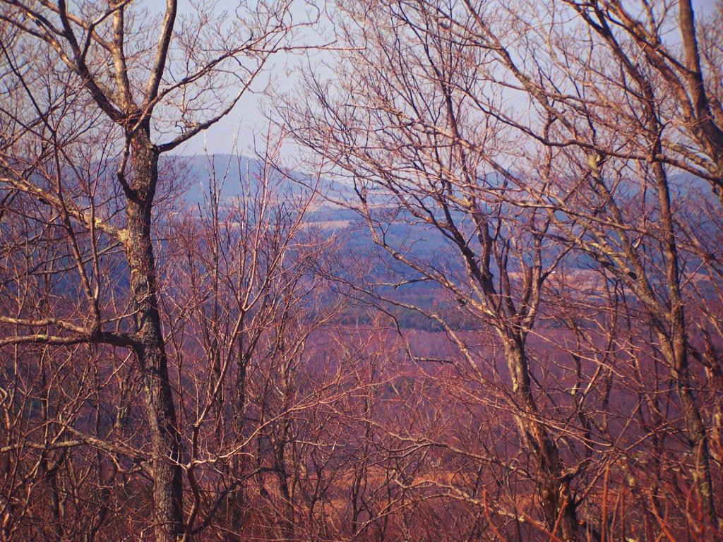 Photo: Towards Grand Gorge