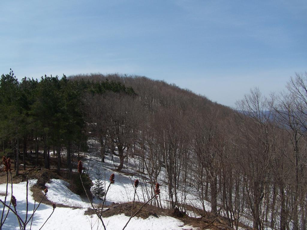 Photo: Ridge