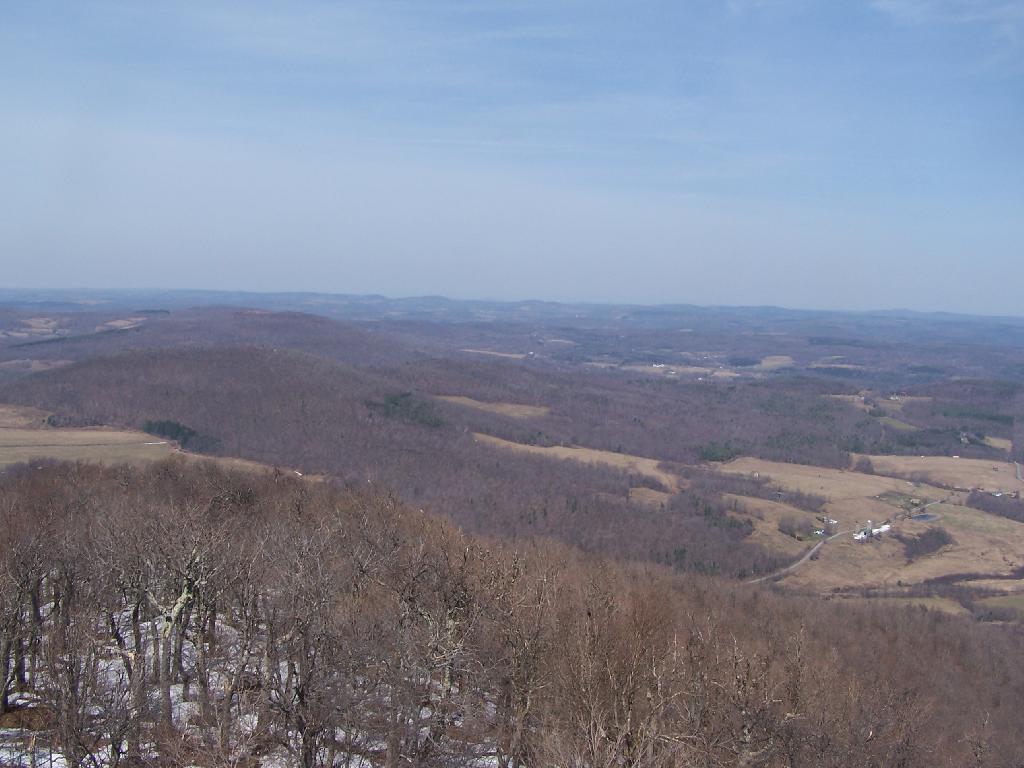 Photo: North