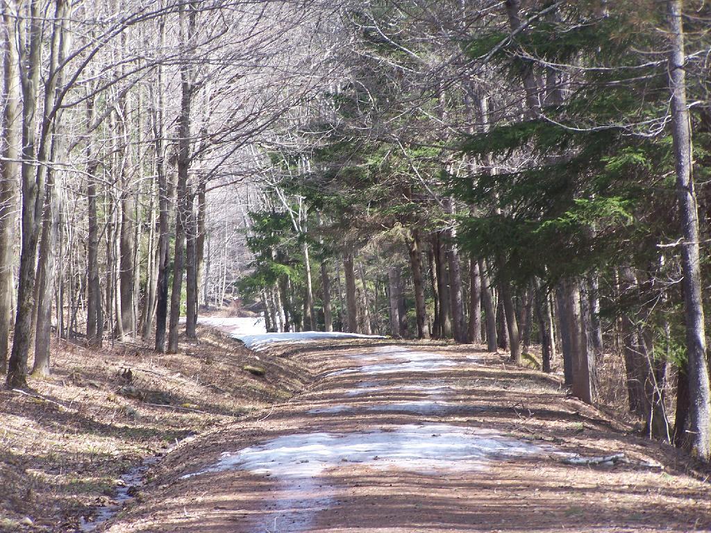 Photo: Ice and Snow Covered Truck Trail