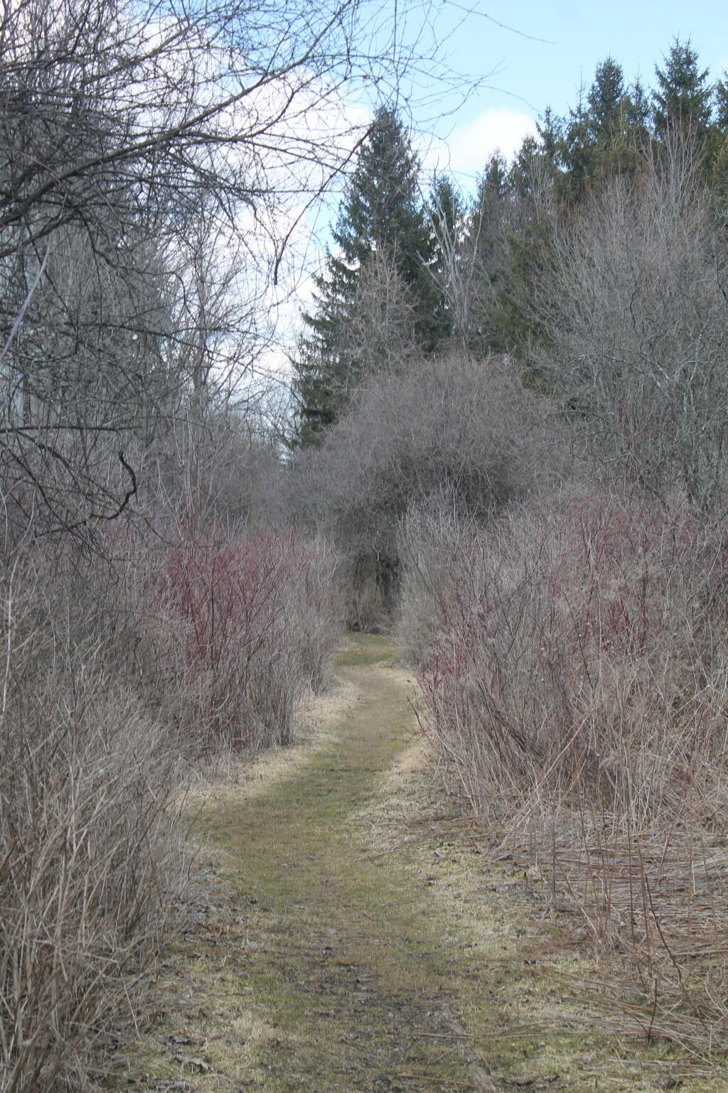 Photo: Spring Can't Be Far