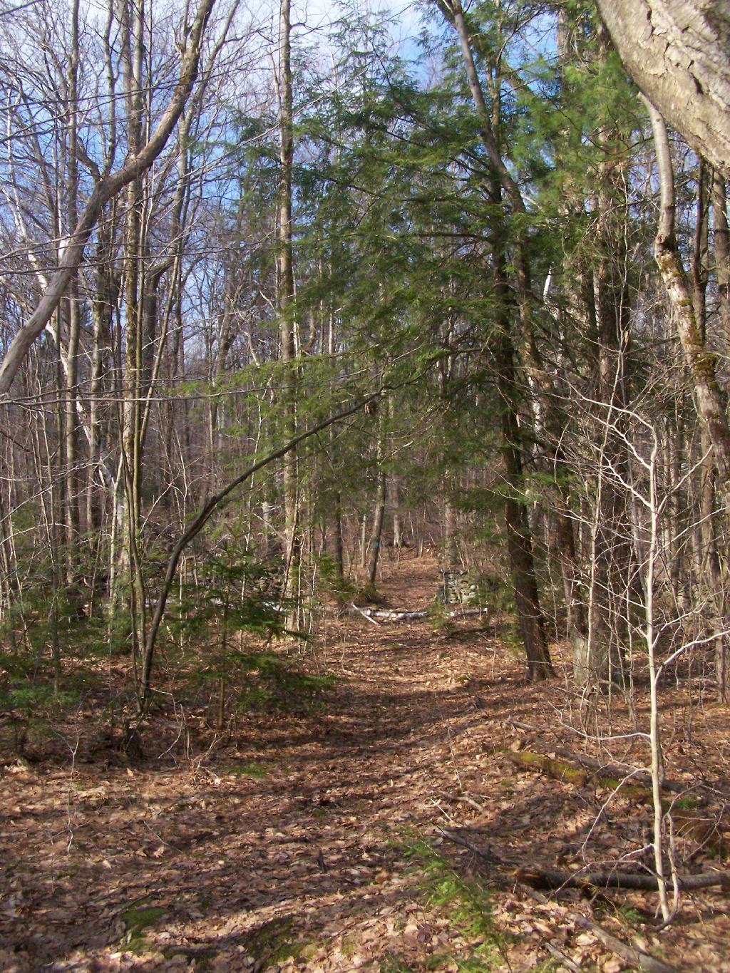 Photo: Along the Long Path