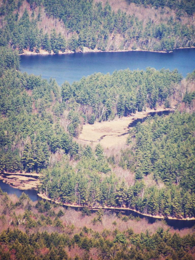 Photo: Glidden Marsh and Oxbow Pond