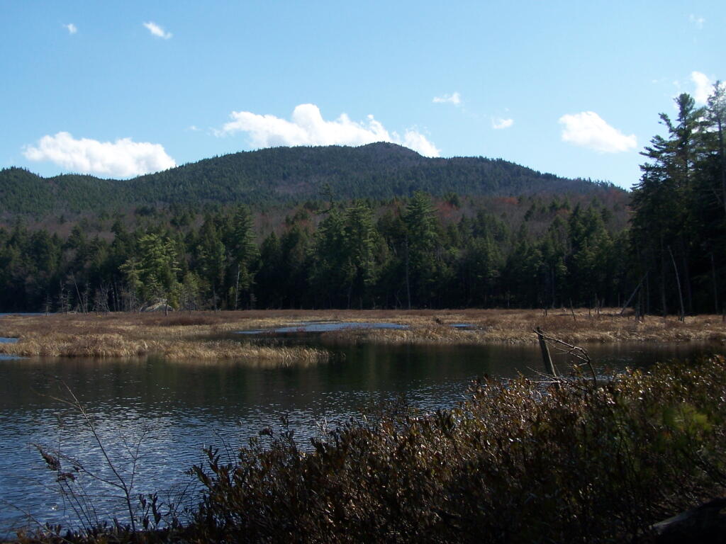 Photo: Pharaoh Moutain Across Glidden Marsh in Afternoon