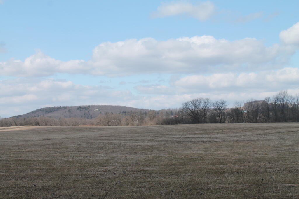 Photo: Field Along Chenango River