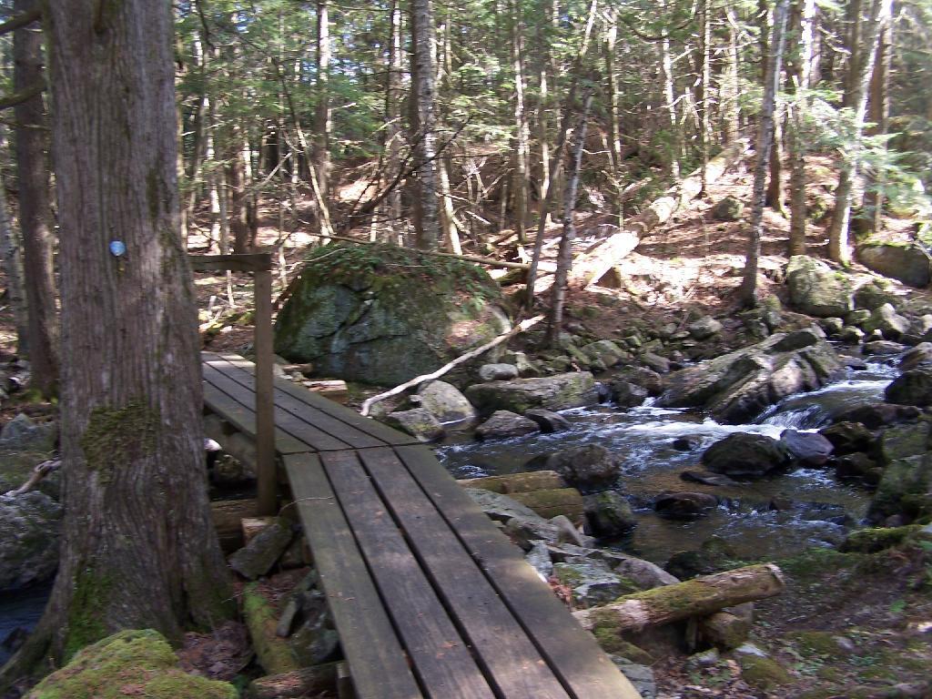 Photo: Footbridge