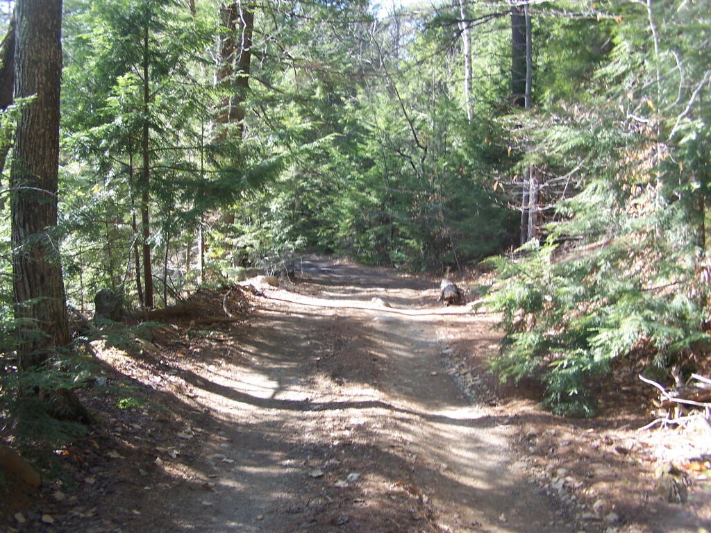 Photo: Relatively Smooth Section of Crane Pond Road