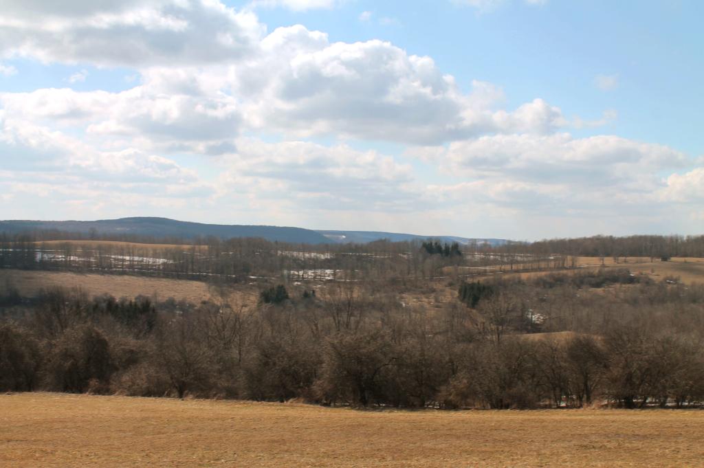 Photo: Upland Near Plymouth