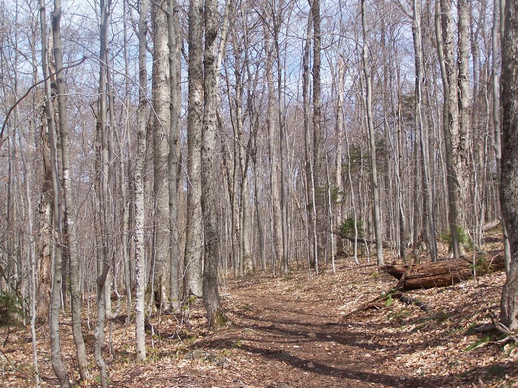 Photo: Dexter Lake-Potter Homestead Trail