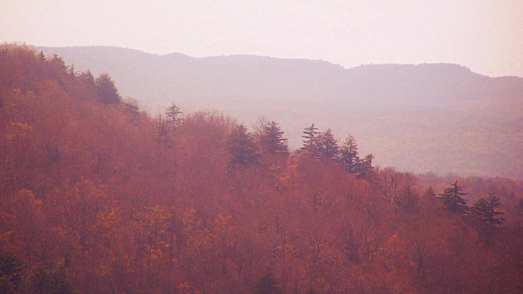 Photo: Edge