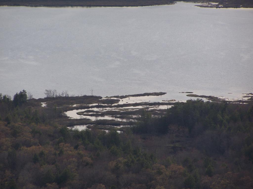 Photo: Inlet to Canada Lake