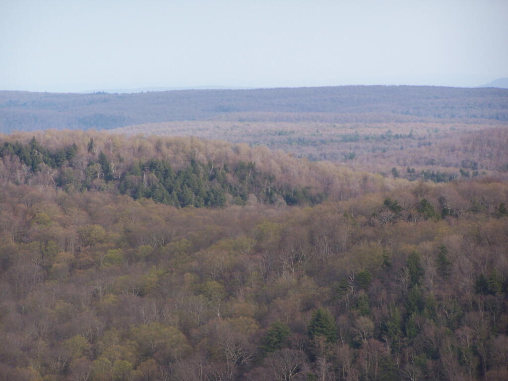 Photo: Ridge