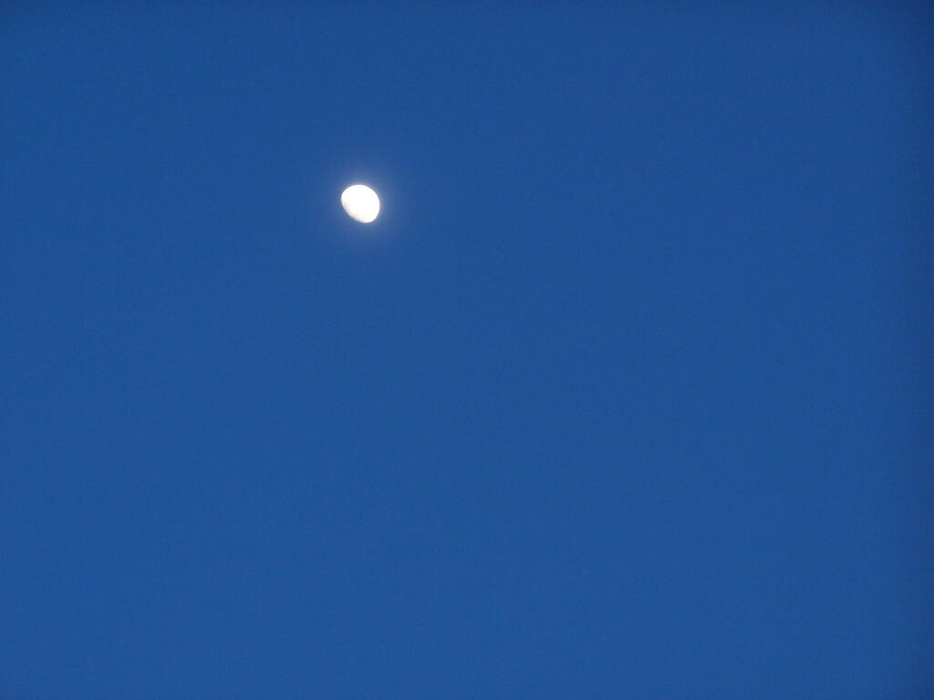 Photo: Almost a Full Moon