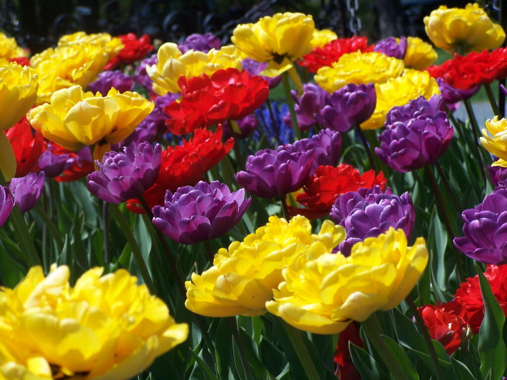 Photo: Many Colors