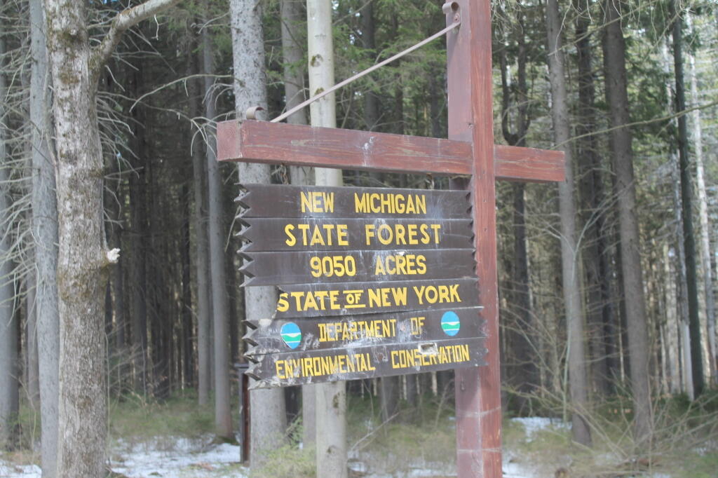 Photo: New Michigan State Forest Photo: New Michigan State Forest