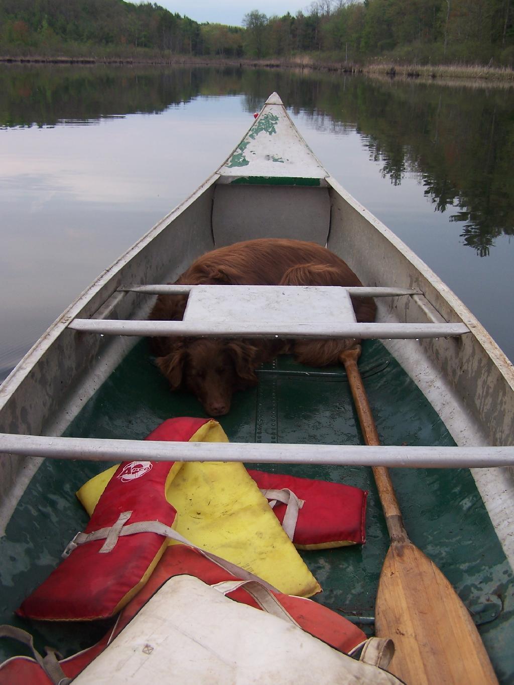Photo: Sleeping on the Job