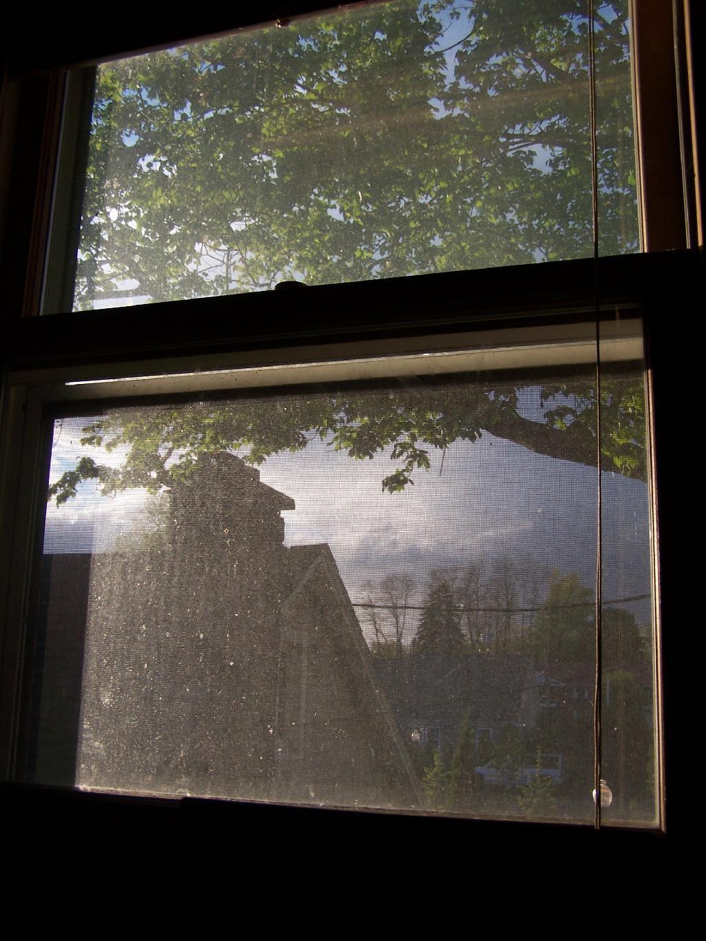 Photo: Window Past My Desk