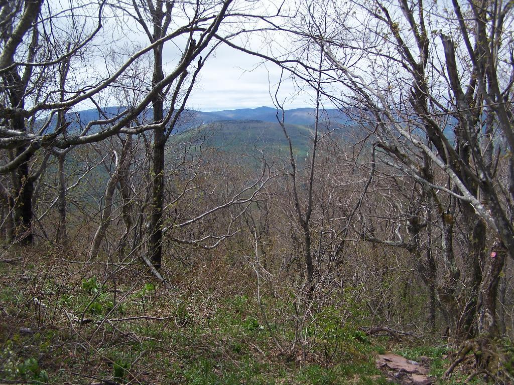 Photo: Devil's Path from Camel's Hump