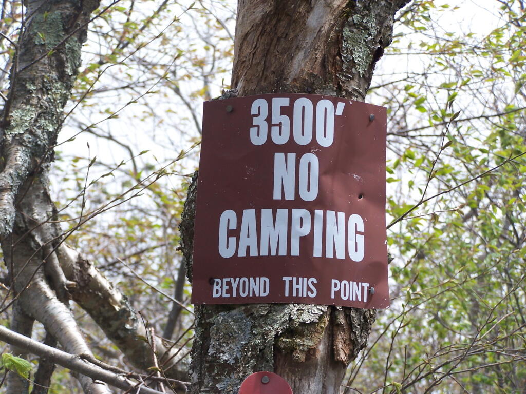Photo: At 3500 Climbing Camel's Hump