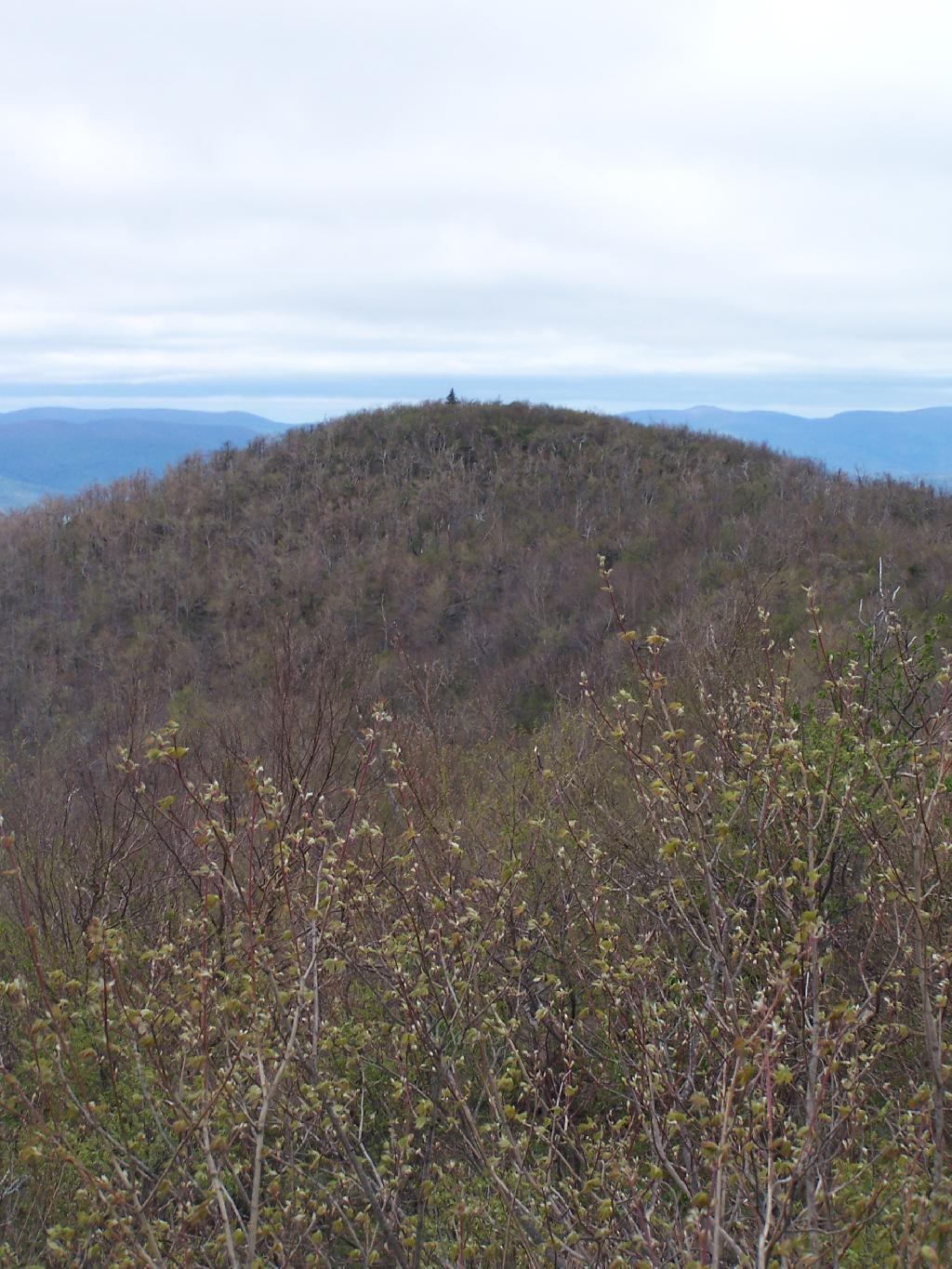 Photo: Camel's Hump