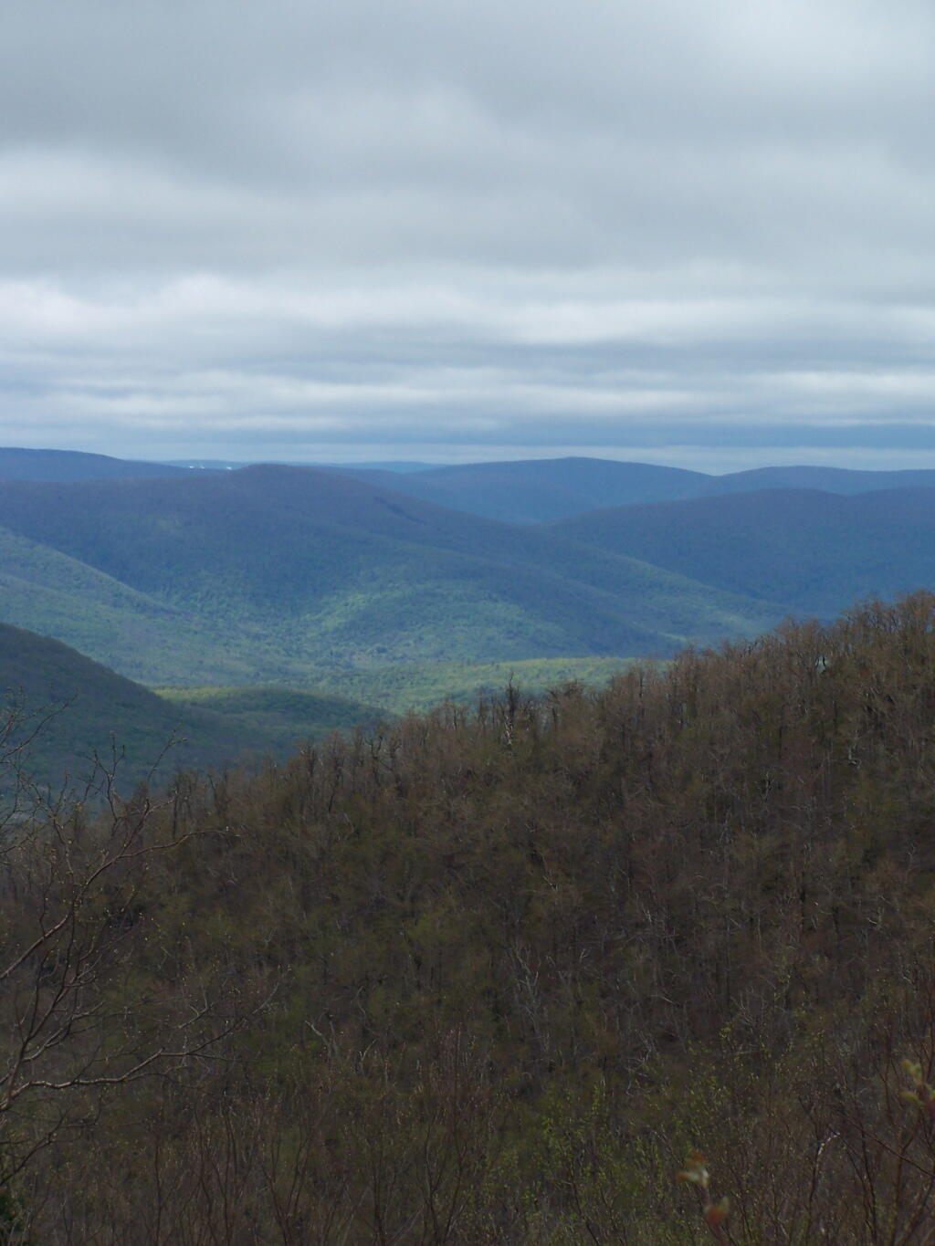 Photo: Evergreen Mountain
