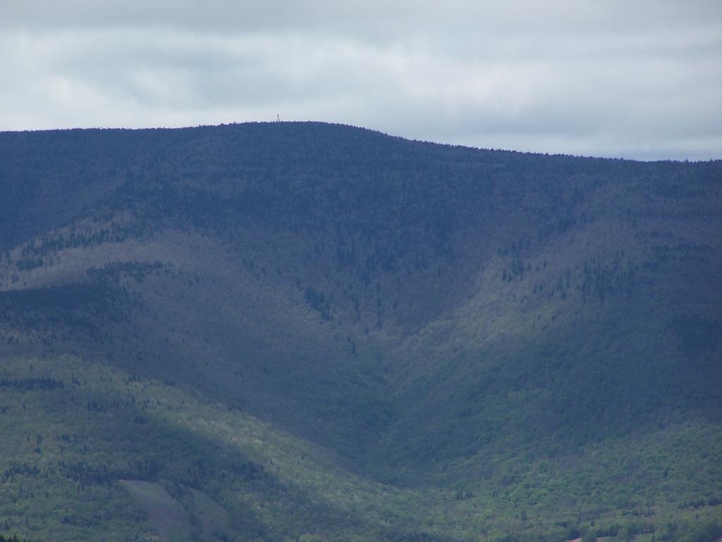 Photo: Green to Brown on Hunter Mountain