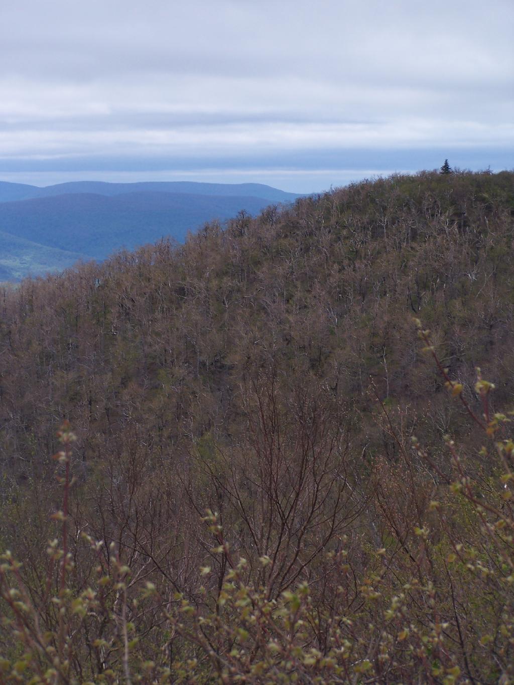 Photo: Hump and Beyond From Thomas Cole Mountain