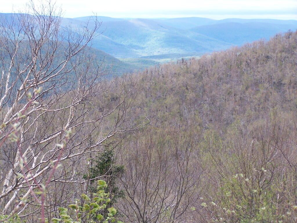 Photo: Towards Huntersville Valley