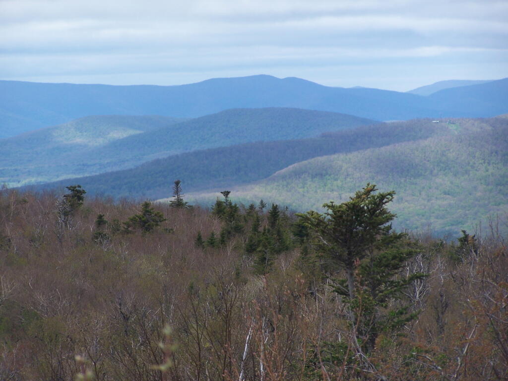 Photo: North-West