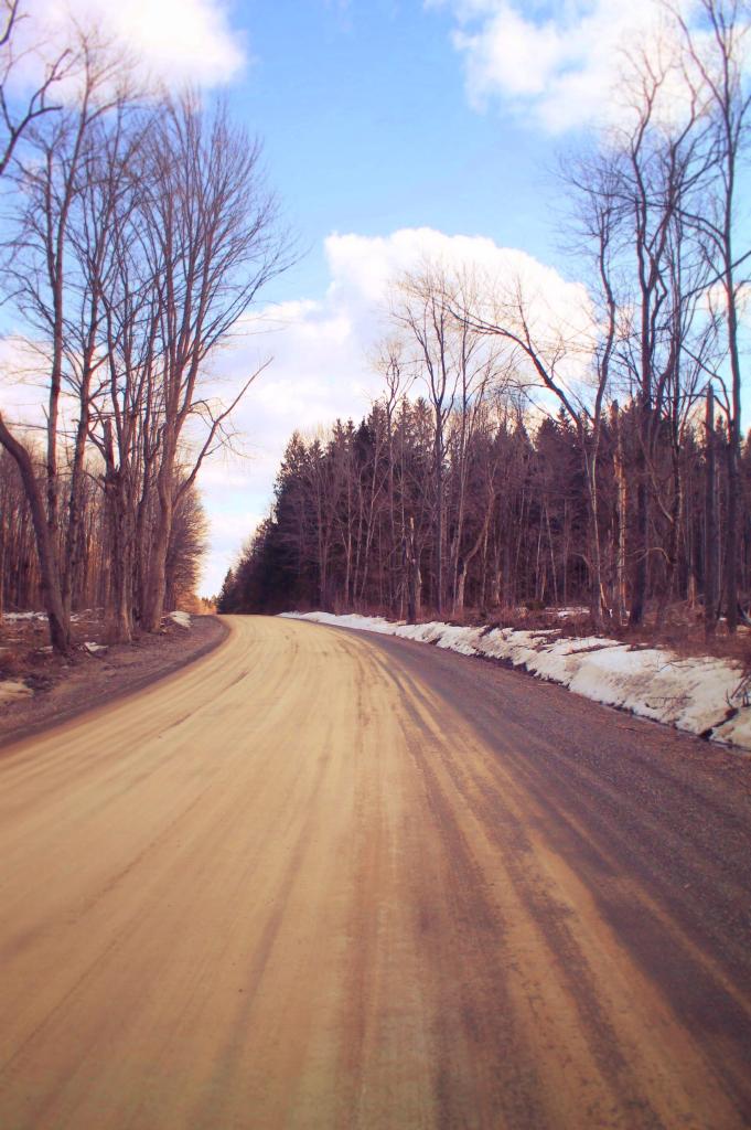 Photo: State Forest Road