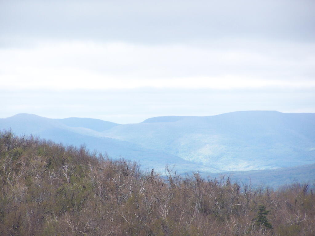 Photo: Mountains