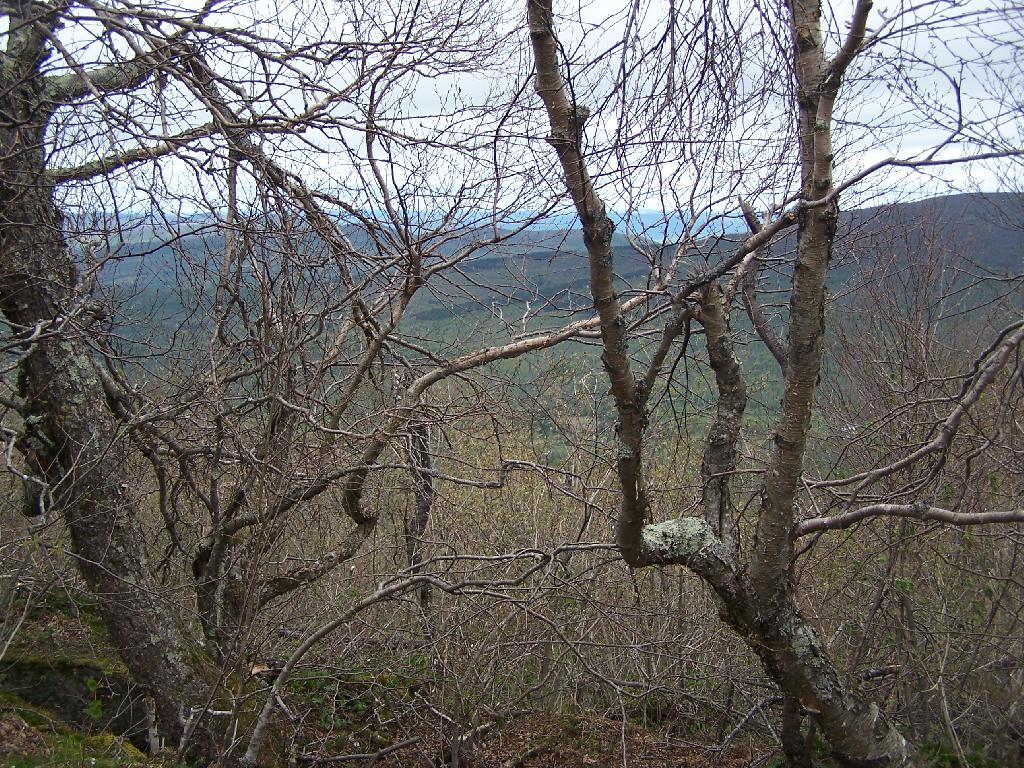Photo: Shoulder Between Mountains