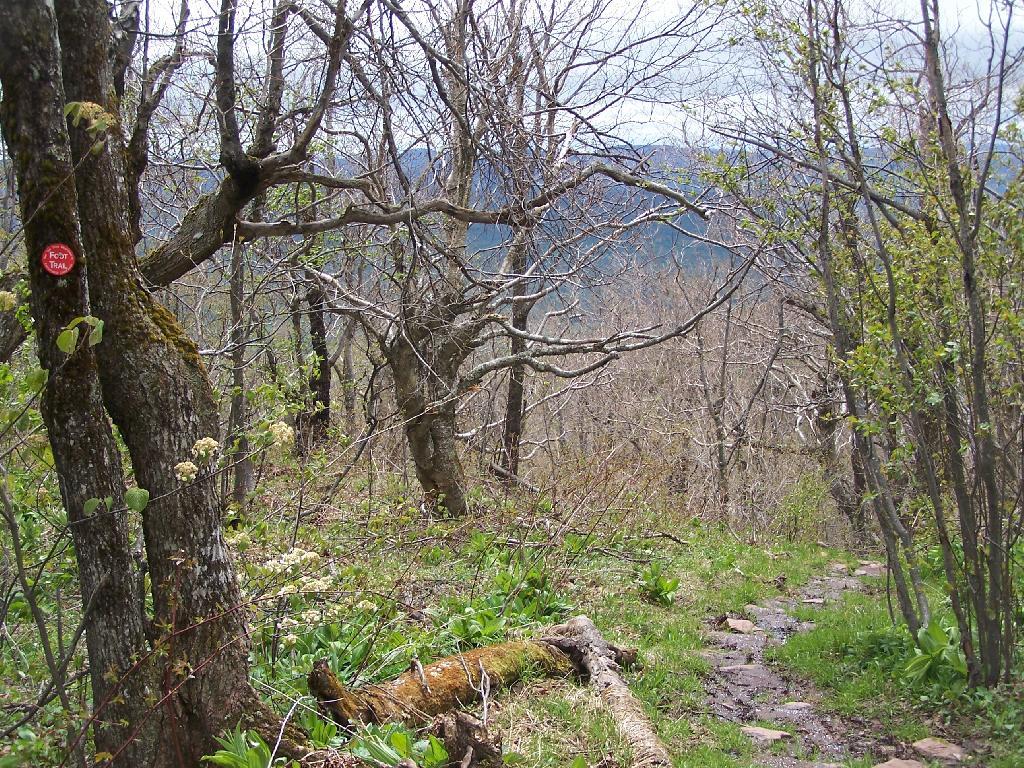 Photo: Descending the Mountain