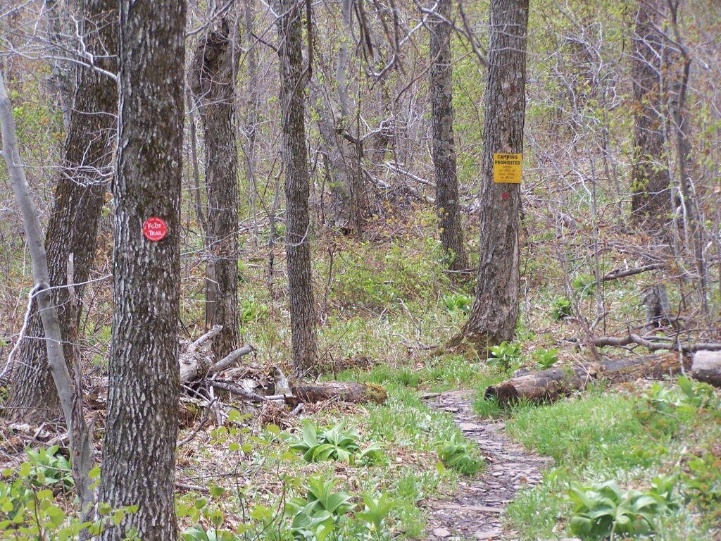Photo: Below 3500, Camping Prohibited Near Trail