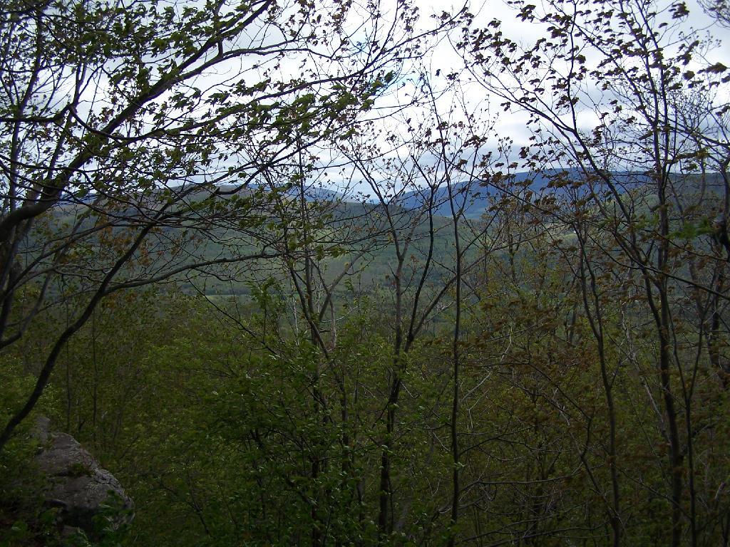 Photo: East Jewett Range