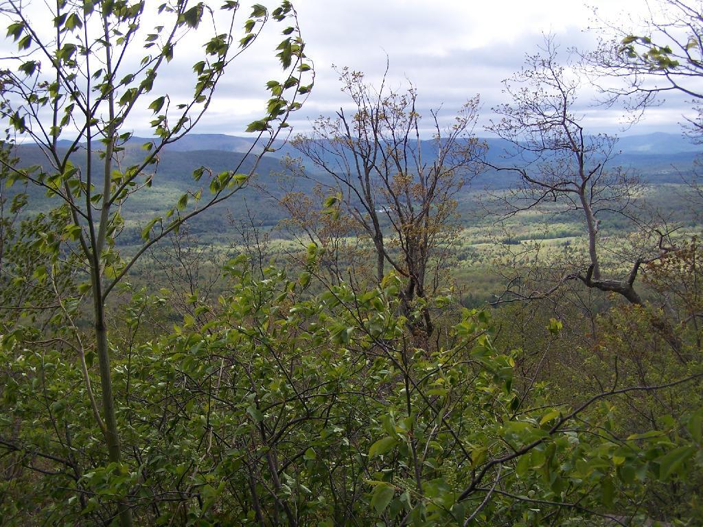 Photo: East Kill Valley