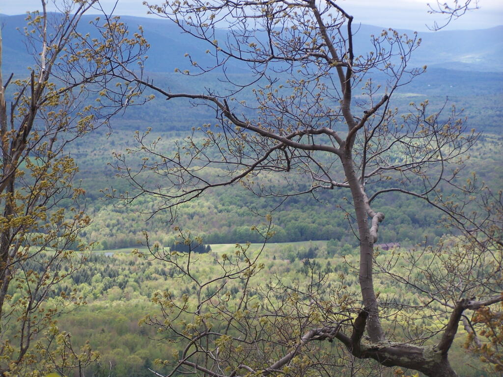 Photo: Catskill Mountain Valley